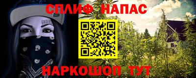 прущие крисы Моздок