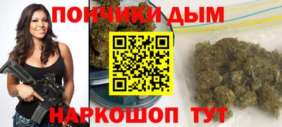 гидра Можга