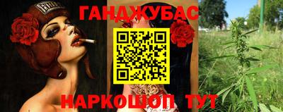 прущие крисы Моздок